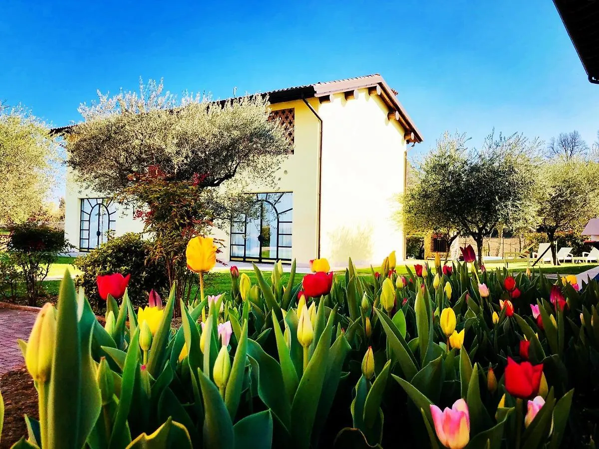 Agriturismo Bitturelli Понти-суль-Минчо