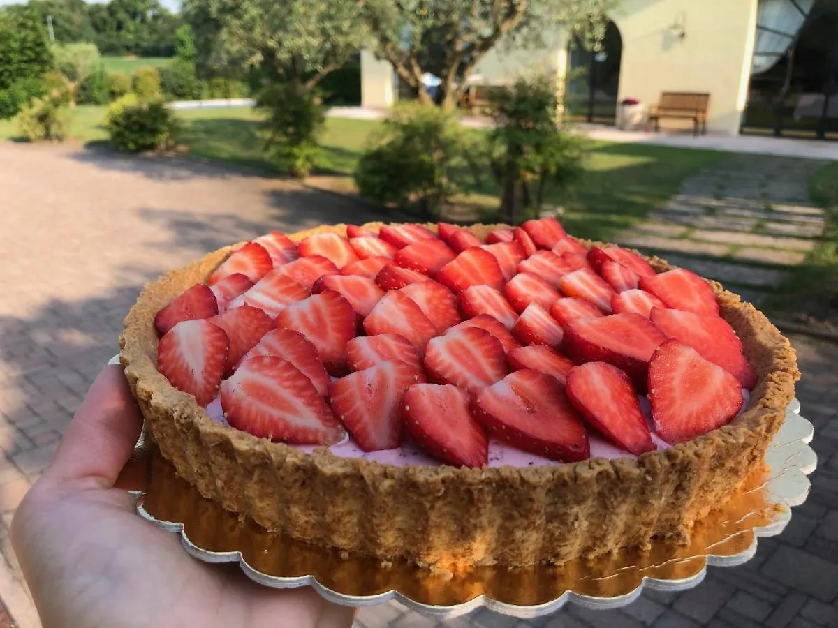 Farm stay Agriturismo Bitturelli Ponti sul Mincio Italy